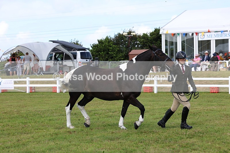 3E7A0010 - Class 5: Rising Star Lightweight/Heavyweight Cobs