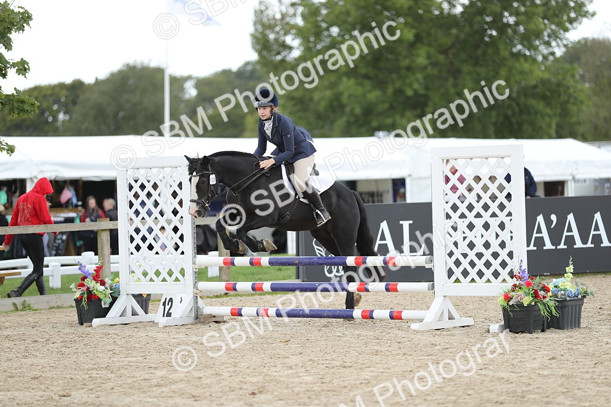 SBM_06503 - J29 - Senior Horse & Pony 65cm Championship