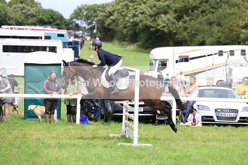 3E7A6952 - Class 5: Senior British Novice/90cm open