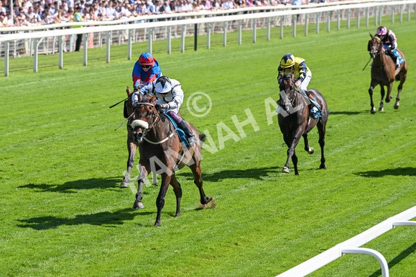 120725-Race 4-Al Qareem-5772 - Race 4 3.45pm John Smith's Silver Cup Stakes