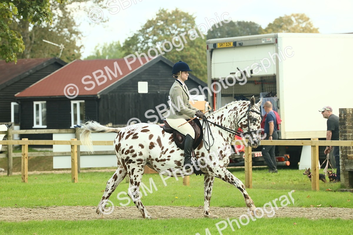 SBM_62463 - S62 - Foreign Breeds Ridden