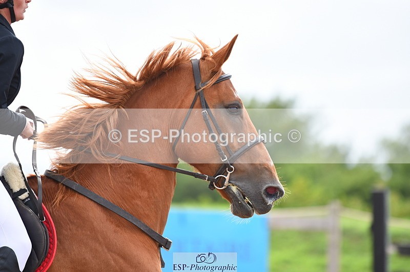 230711A-172026-00225 - 80cm