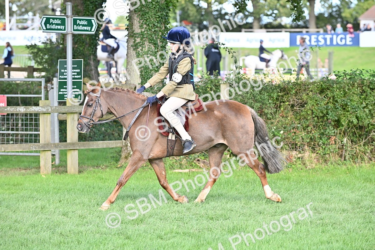 SBM_51234 - S22 - First Ridden show and show Hunter Pony