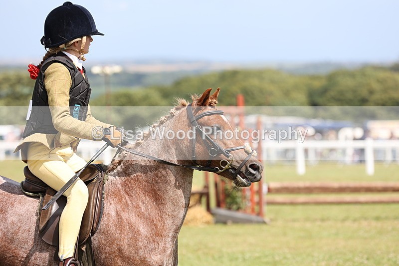 JPP_2128 - Class 19: Working Hunter 60cm