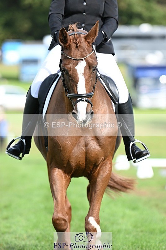 231020-120811-08001 - 484-JESATRAN.FIRECRACKER-Sally.Morton-DR