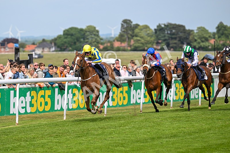 240525-Race 4-My Harrison George-1204 - Race 4