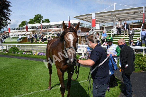 yr11062021r3-45 - Race 3 2.55pm SKF Rous Selling Stakes