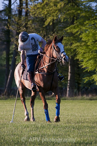 _DSC8255 - POLO Training