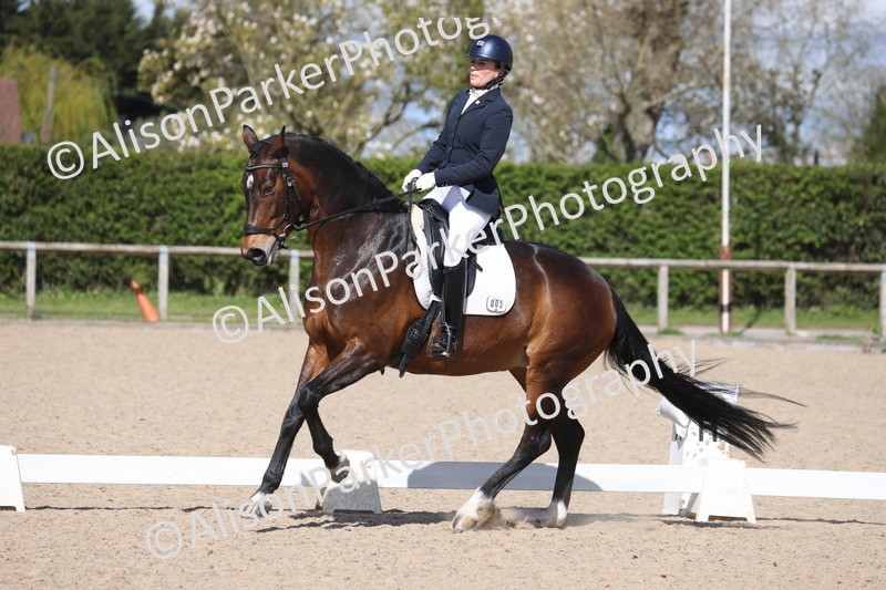 20260405-0597 - Class 7 - Medium 5