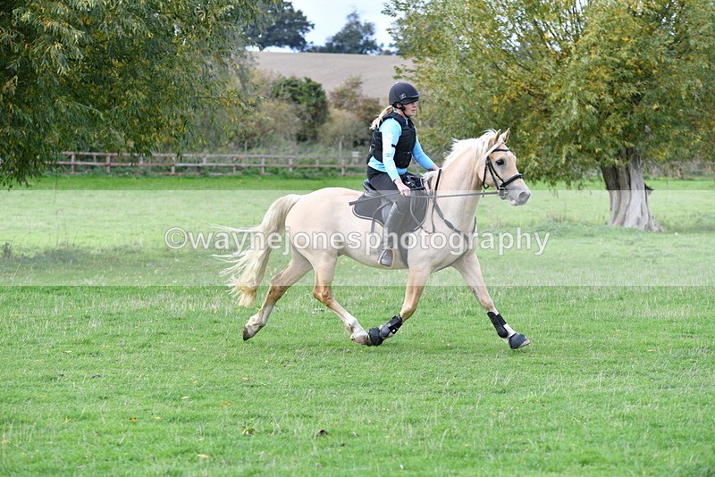 WJ5_0932 - Time 14:29 to 15:31