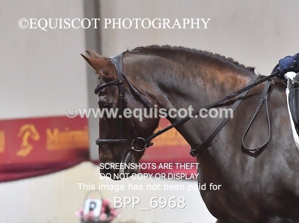 BPP_6968 - CLASS 4 PRELIM CHAMPIONSHIP TEST 6