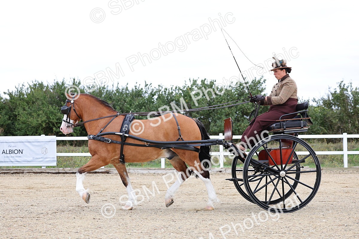 SBM_000288 - Class 2 - Exercise Vehicle 13.2hh & Under