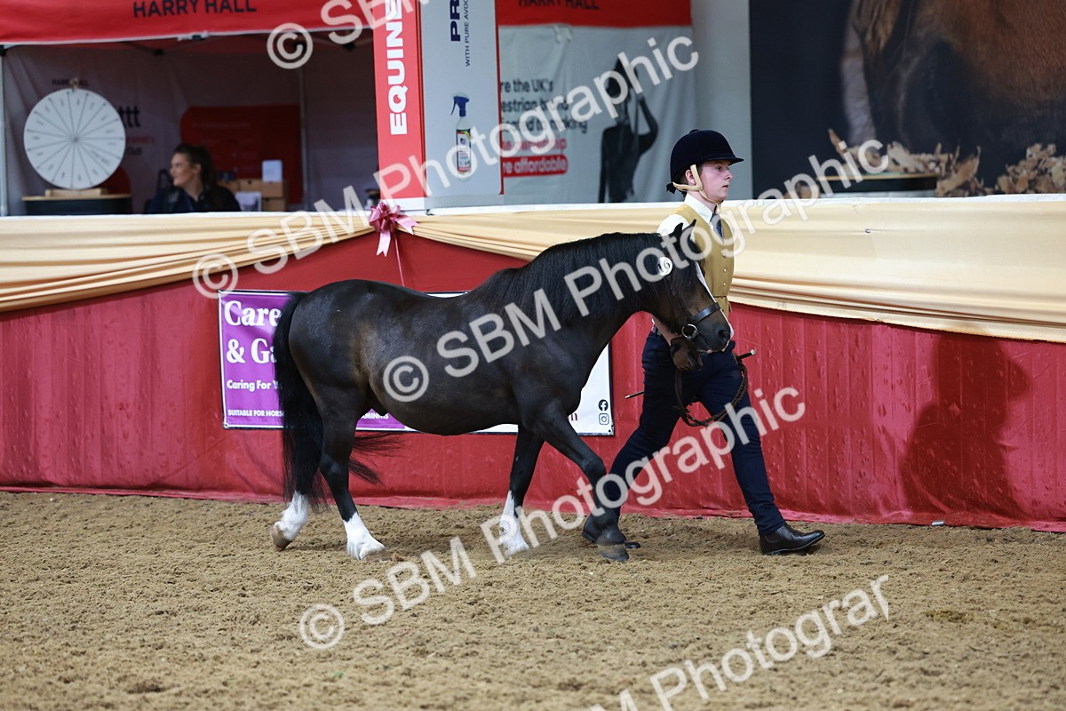 SBM_17305 - Class 951 - M&M IH Supreme Final