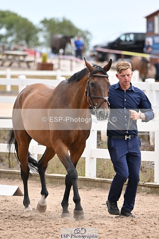 250716-145234-01466 - Trot Up 2.30 to 3.30