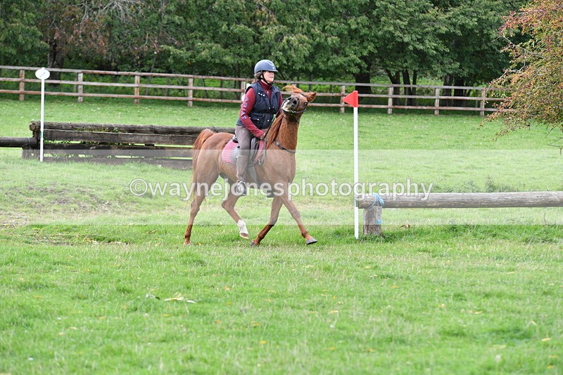 WJ5_9699 - Time 13:03 to 13:25