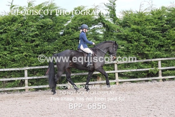 BPP_6856 - RING 1  (RIDDEN HORSES / IN HAND / VETERAN ETC)