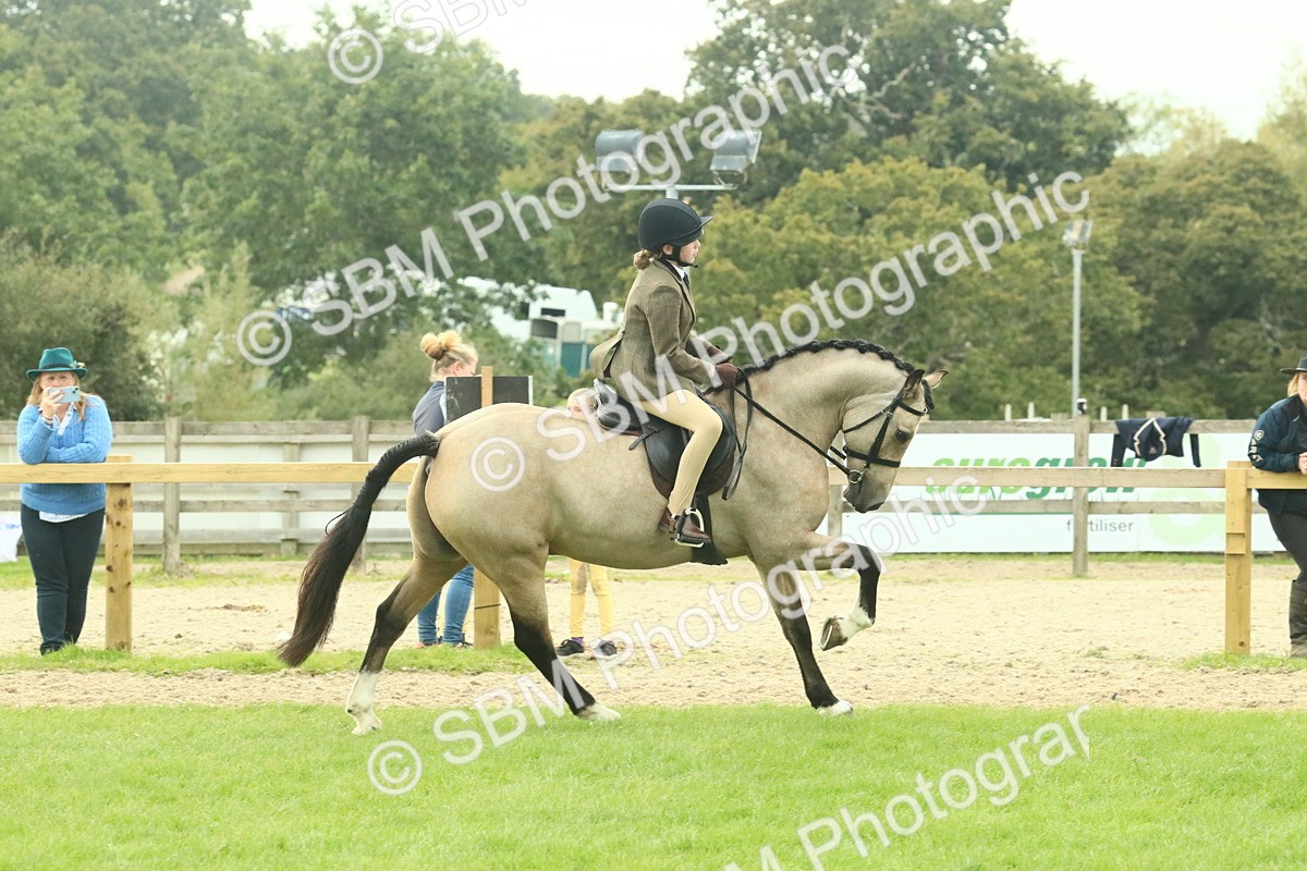 SBM_74013 - S 61 - Show Pony & Show Hunter Pony Ridden