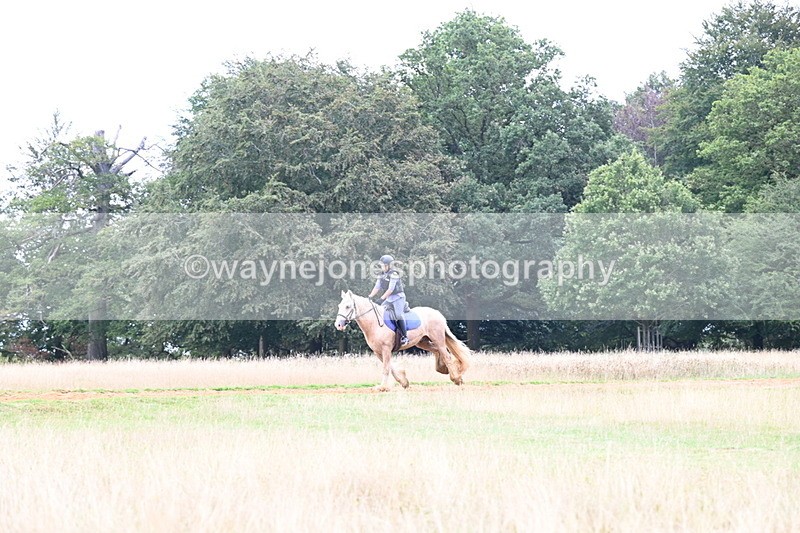 DSC_9489 - Time at Statue 15:11 to 15:58