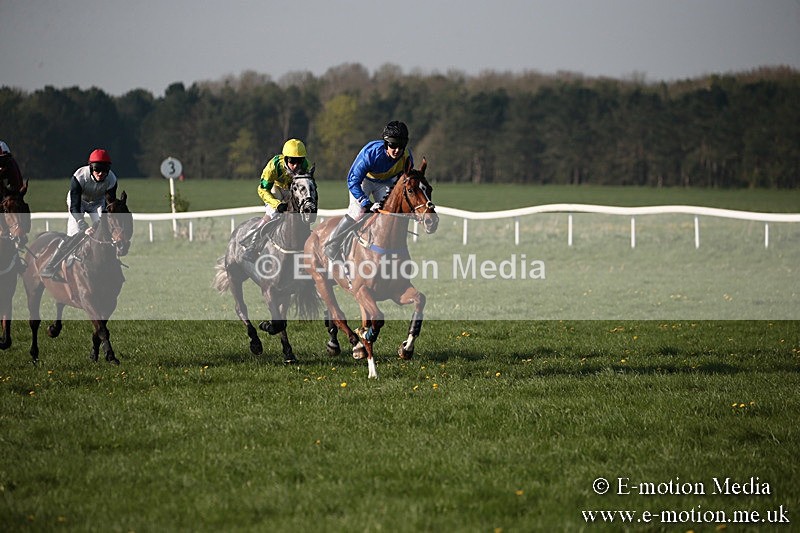 PtP 210418 607 - South & West Wilts Point-to-Point Larkhill 21/04/18