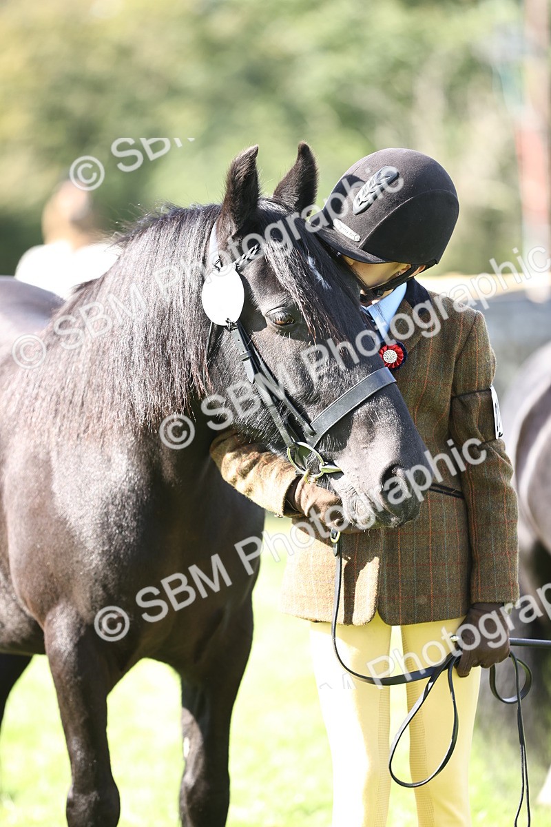 SBM_26230 - S5 - Novice & Newcomers In Hand