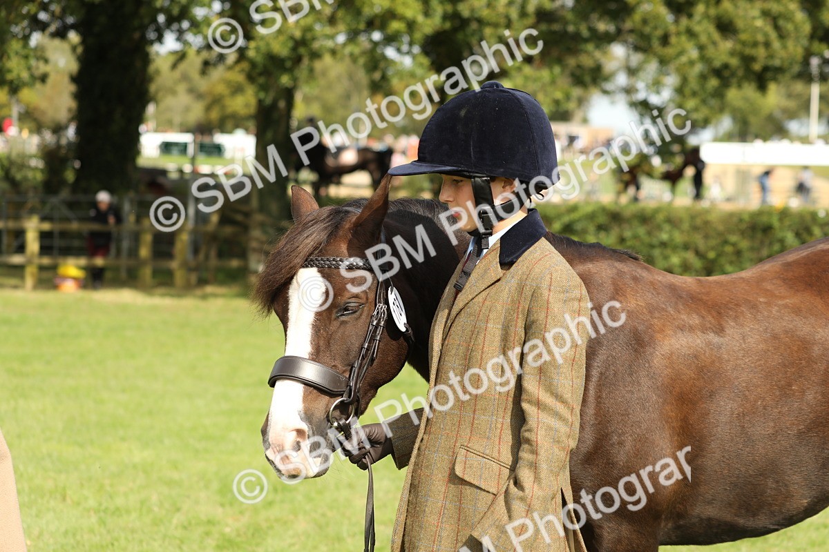 SBM_68632 - S40 - Junior Handler 9-12 Years