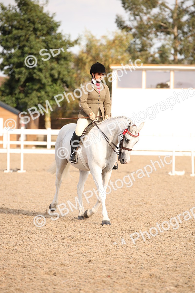 SBM_08825 - Class 12R Regional Ridden Pre-Vet