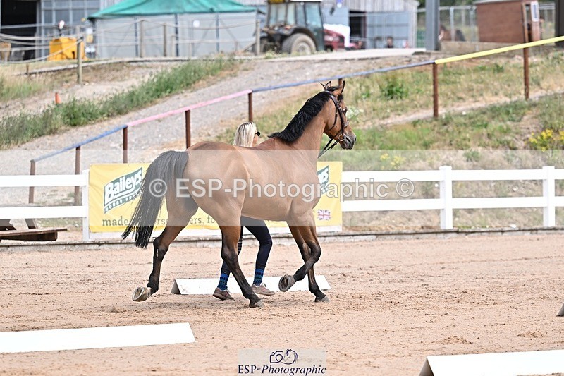 250716-130424-00305 - Trot Up 12.30 to 1.30