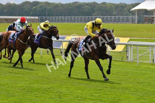 yr12052021r1-39 - Race 1 1.40pm Sky Bet Race to the Ebor Jorvik Stakes