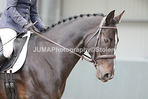 SIAL9206 - GDG Bogenraith Friday 26th Sept 2025