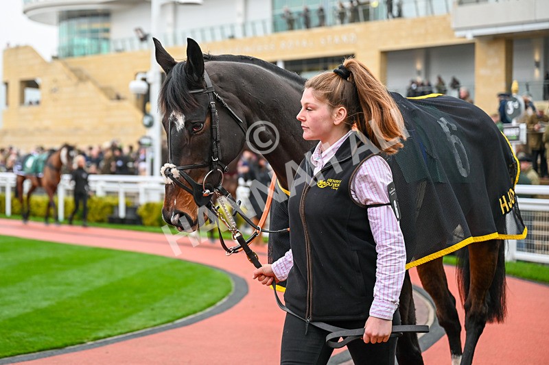 131224-Race 4-Java Point-9688 - Race 4