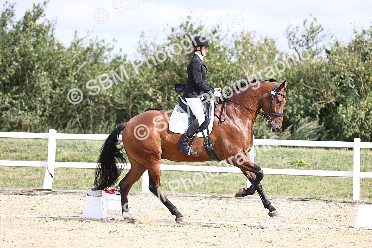 SBM_016173 - Class 14 - Novice 23 - 10.29-11.32