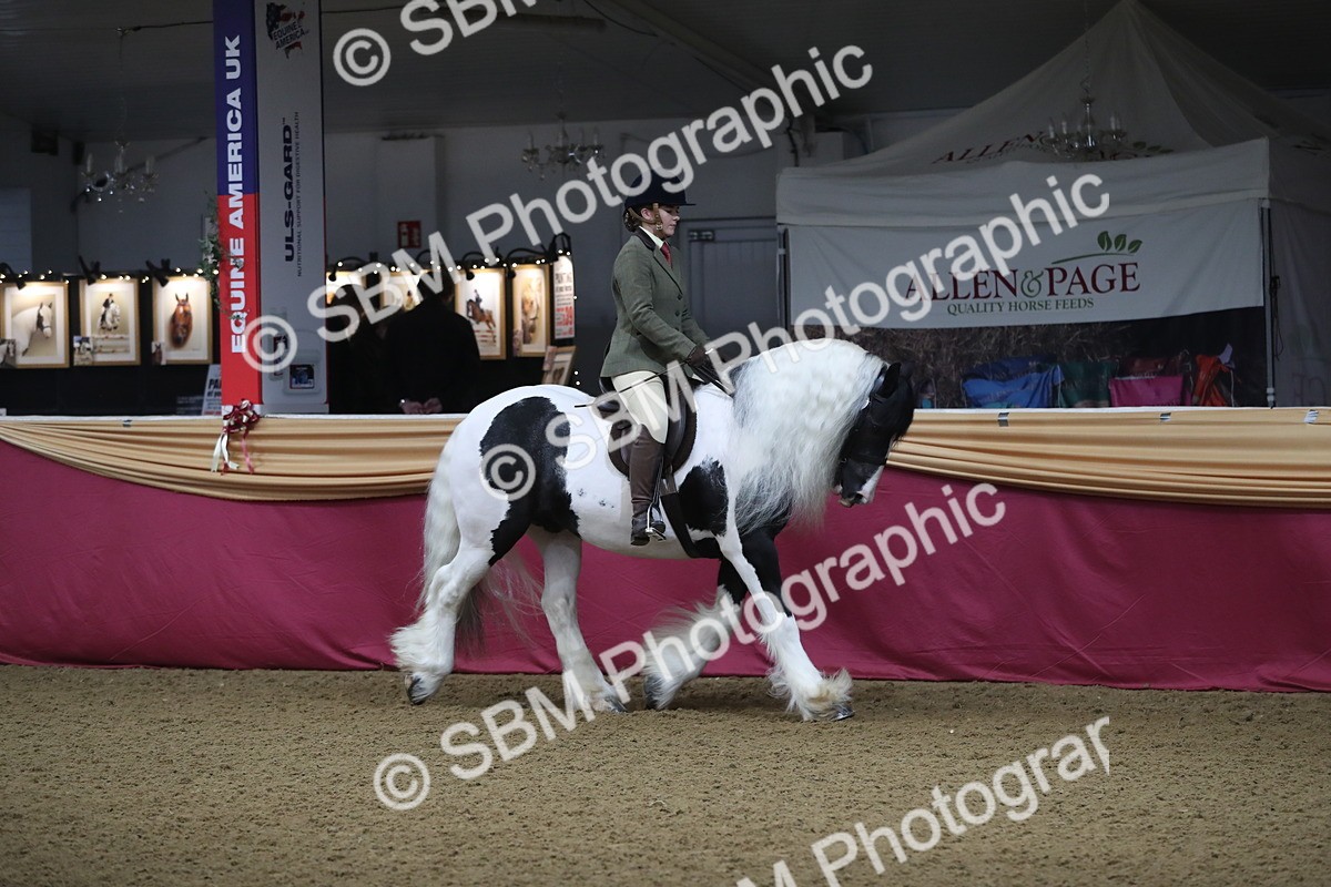 SBM_10316 - Class 102 Equitation (best rider) Adult