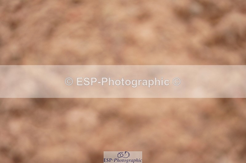 240628A-173156-00529 - Cls 2 Intro 90cm