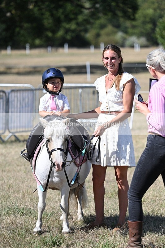 WJ7_1352 - Class 41 Prettiest Mare