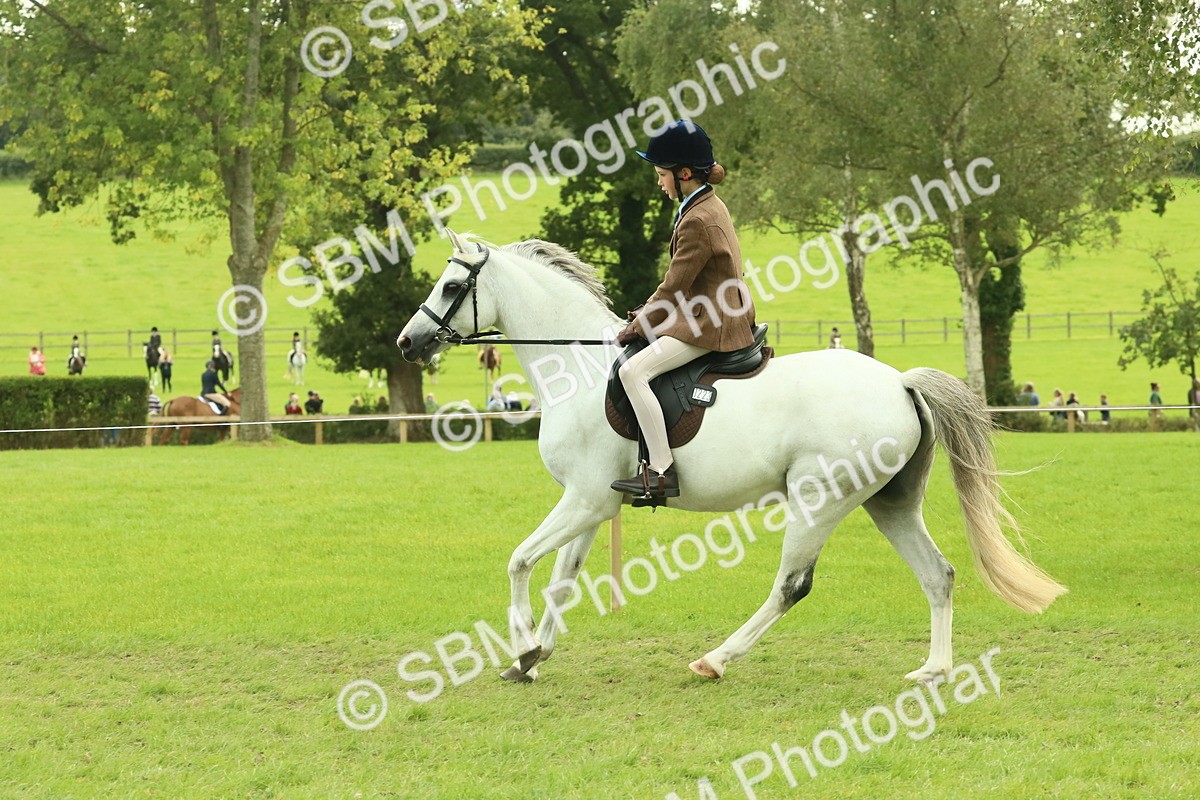 SBM_69921 - S59 - Mountain & Moorland Ridden Small Breeds