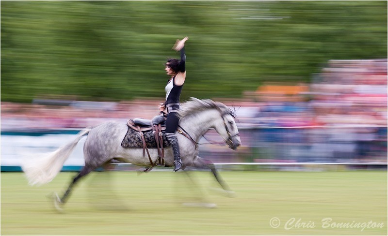 Stunt Horse Rider - Action