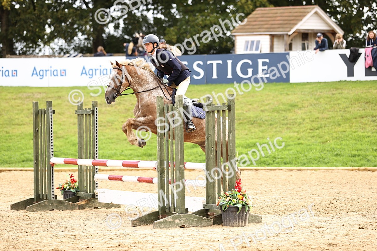 SBM_41196 - J40 Senior Horse & Pony 90cm Supreme Championship