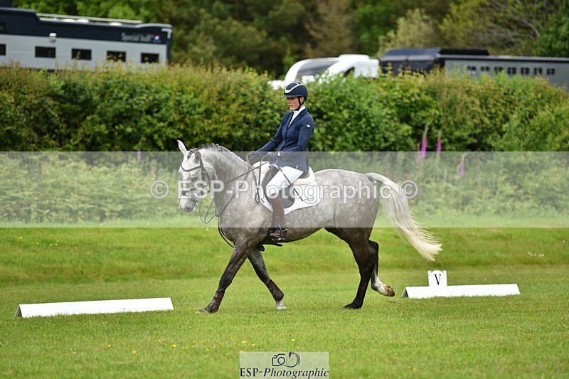 240523B-123358-02179 - 5 Year Old