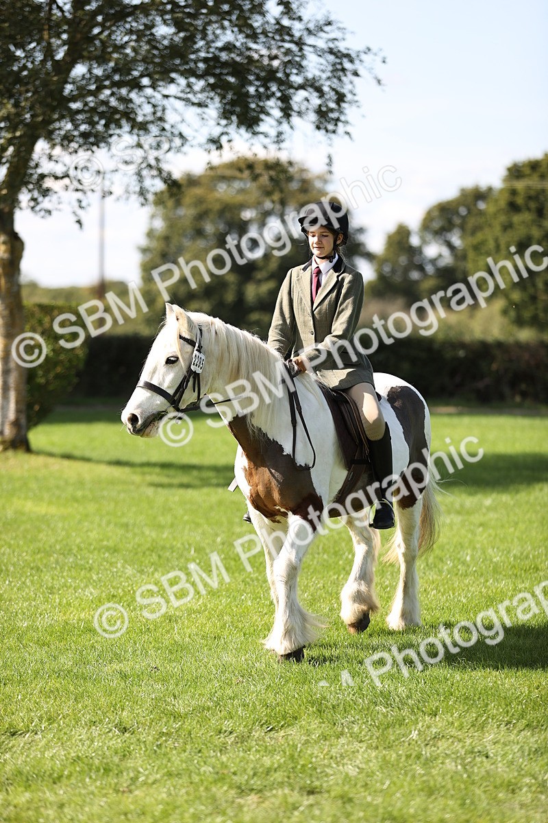 SBM_22990 - S4 - Have a Go at Working Equitation