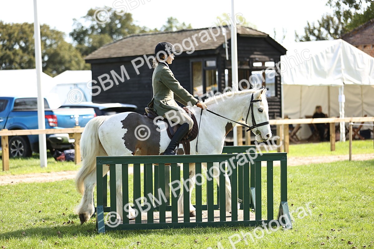 SBM_22993 - S4 - Have a Go at Working Equitation