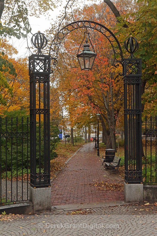 Loyalist Burial Grounds Saint John New Brunswick Autumn Foliage - Autumn Foliage