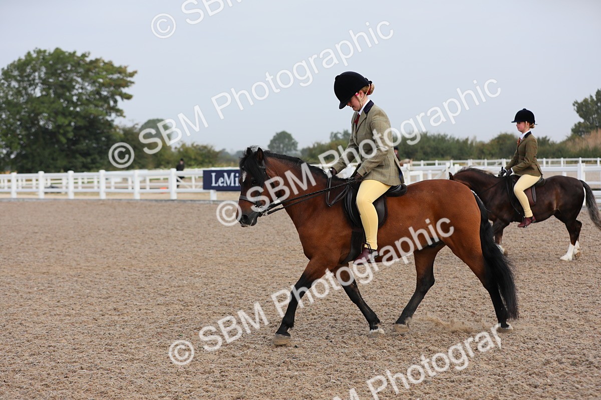 SBM_09625 - Class 301 Ridden M&M -Small Breeds