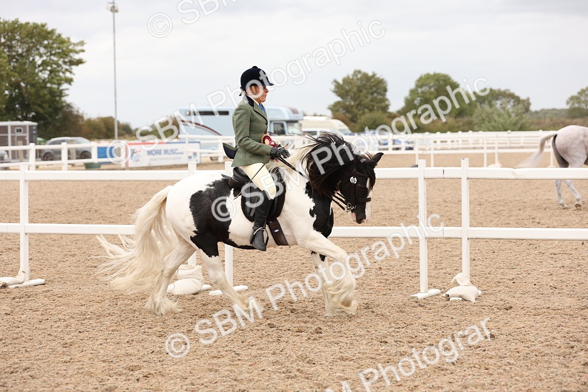 SBM_19757 - Class 216 - Ridden Traditional - Native Cob