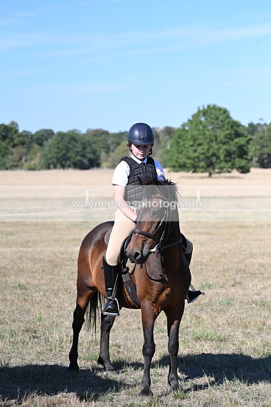 WJ7_2197 - Class 44 Child's Best Friend