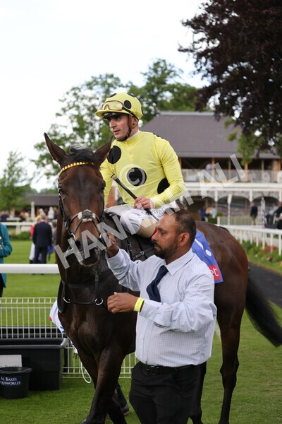 yr11062022r4-34 - Race 4 3.05pm Sky Bet Grand Cup