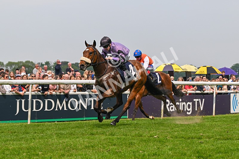 060524-Race 2-Brummell-6005 - Race 2