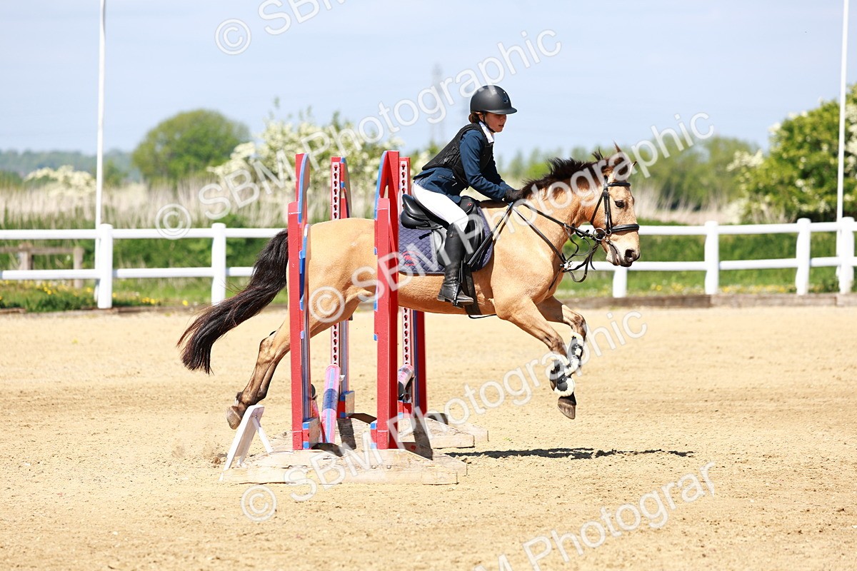 SBM_007556 - Class 3 - 60cm