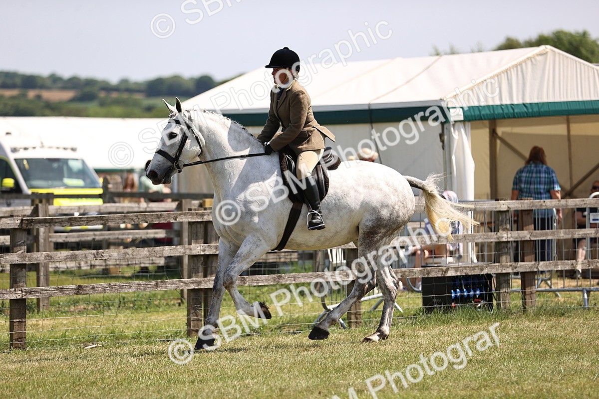 SBM_15077 - Class 79-80 - LIHS BSHA Rising Star Ridden Hunter