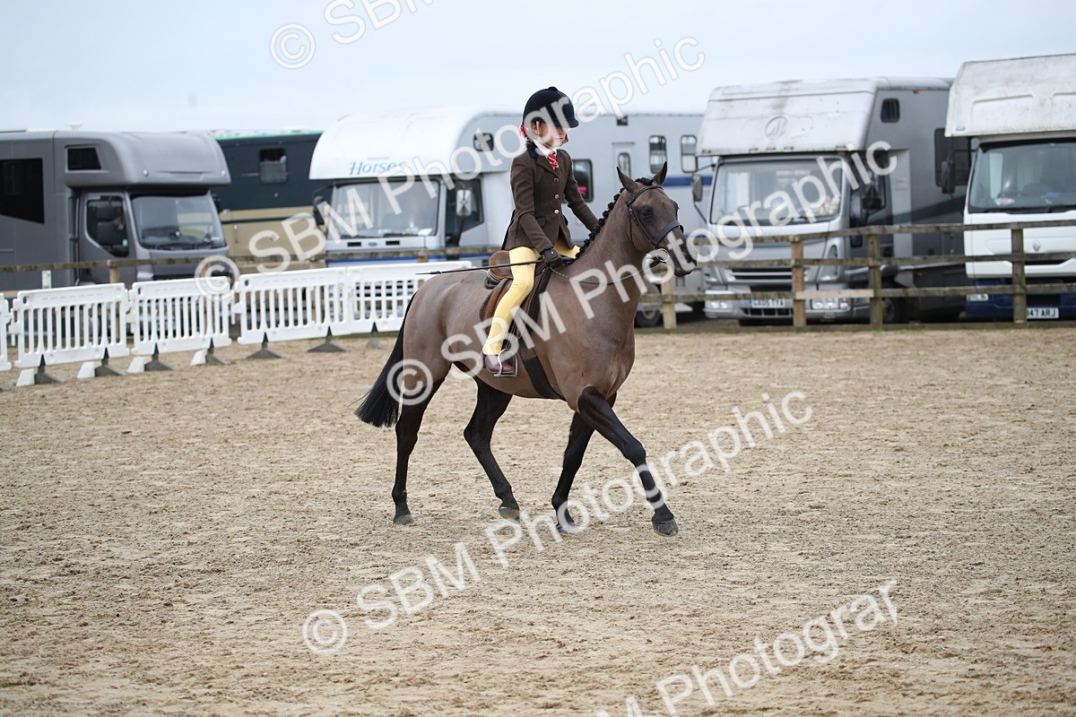 SBM_004605 - Class 5-9 - NPS In Hand-Show Hunter-Intermediate Ridden Inc Ridden Championship