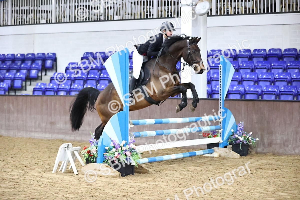 SBM_002049 - Class 8 - Senior British Novice - 90cm